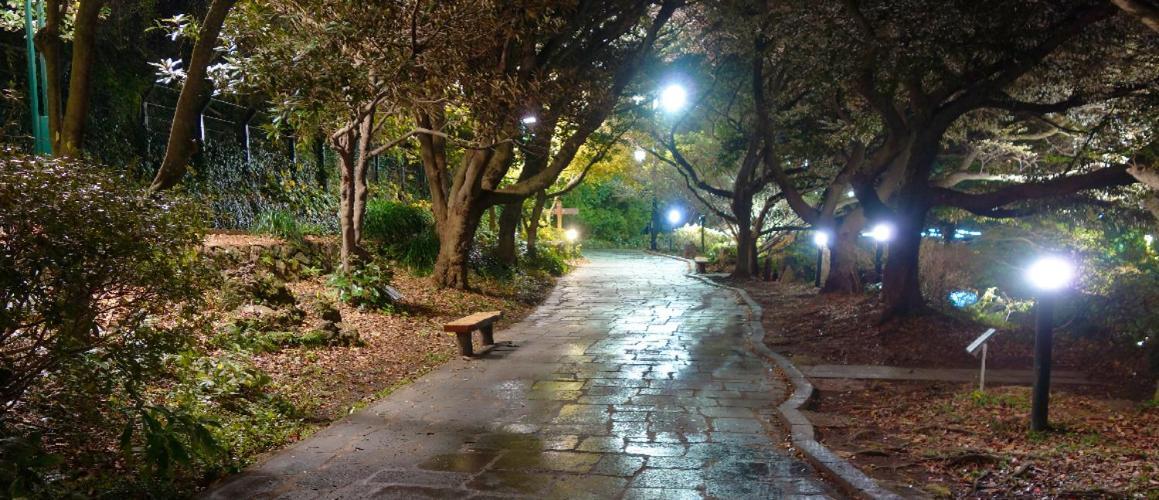 Hotel The Grang Σεογκουίπο Εξωτερικό φωτογραφία